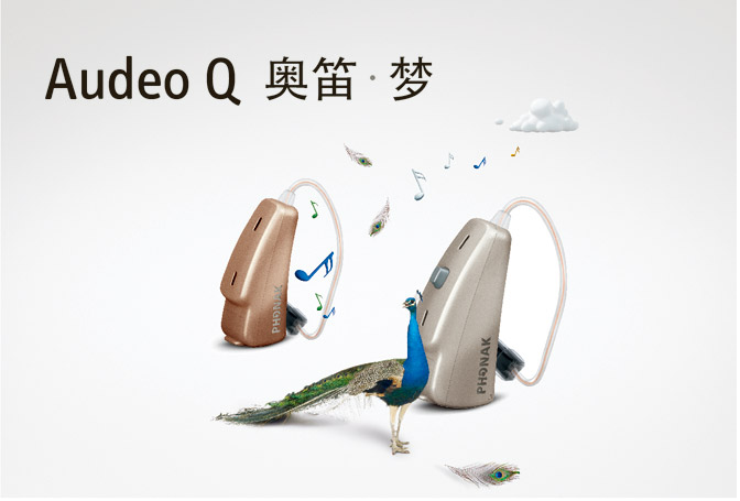 Audeo Q 奥笛梦1