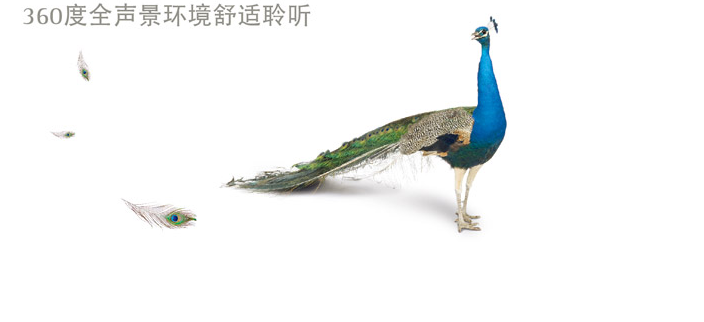 Audeo Q 奥笛梦4